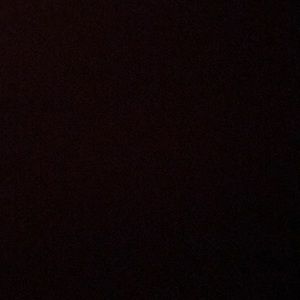 Meet your Posher, Riley